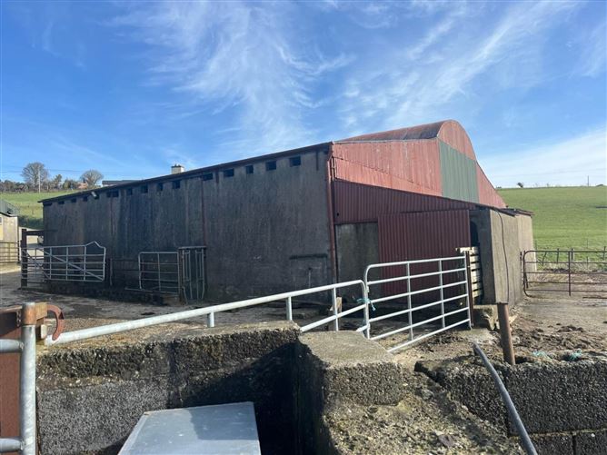 Barniskey, Arklow, Co. Wicklow , Arklow, County Wicklow