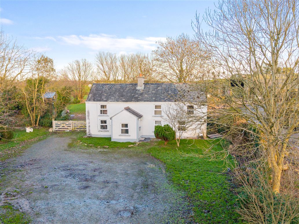 Rambler Rose, Glenour, Adamstown, Wexford