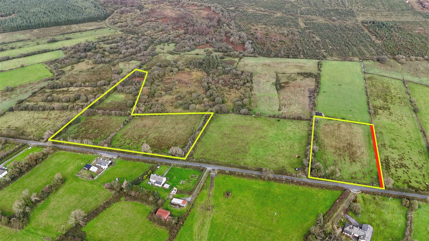 6 acres (approx.) at Lisavruggy, Ballygar, Co. Galway