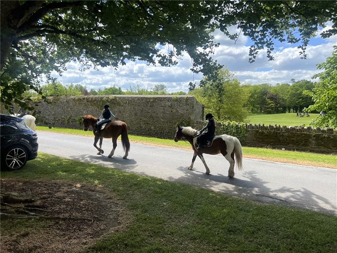 Photo 47 of 50 — 17 Walton's Grove, Mount Juliet Estate, Thomastown, Co.Kilkenny