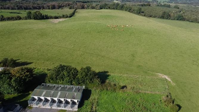 Clonickilvant, Killucan, Westmeath