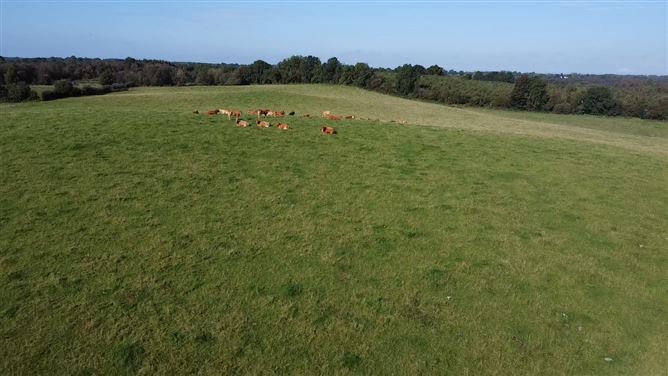 Clonickilvant, Killucan, Westmeath