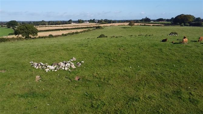 Clonickilvant, Killucan, Westmeath