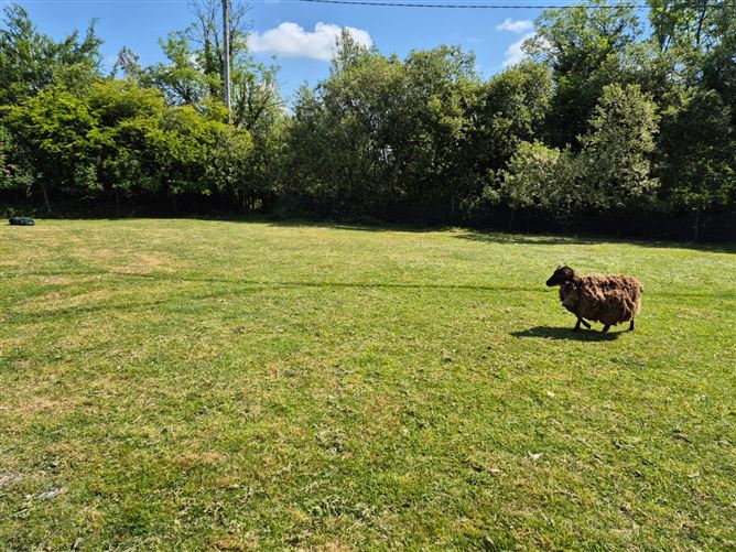 Belmont, Cloghans Hill, Tuam, Co. Galway