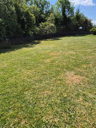 Belmont, Cloghans Hill, Tuam, Co. Galway