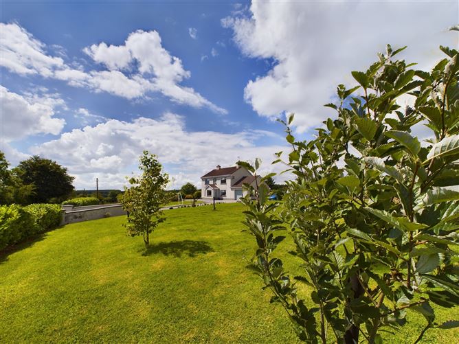 Crissard, Wolfhill, Crettyard, Laois