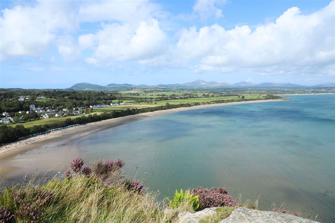 Rhedyn,Llanbedrog, Gwynedd, Wales