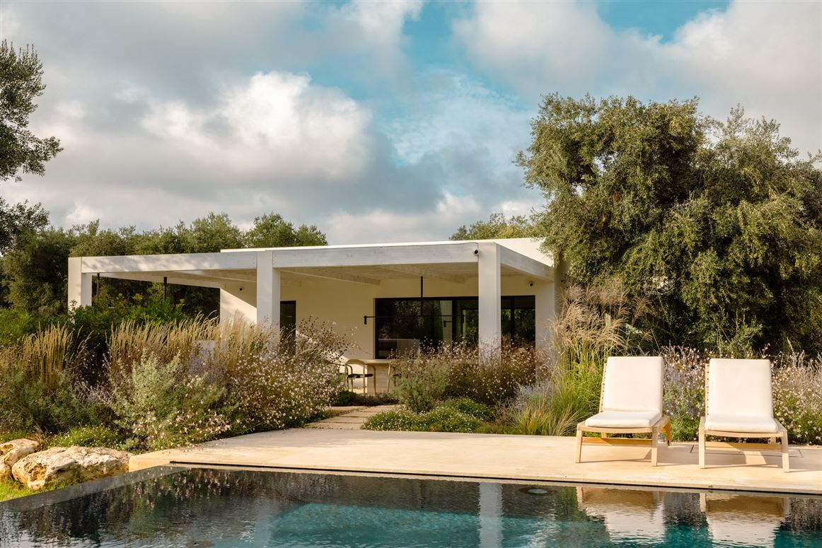 Antique Olive Grove,Carovigno,Apulia,Italy