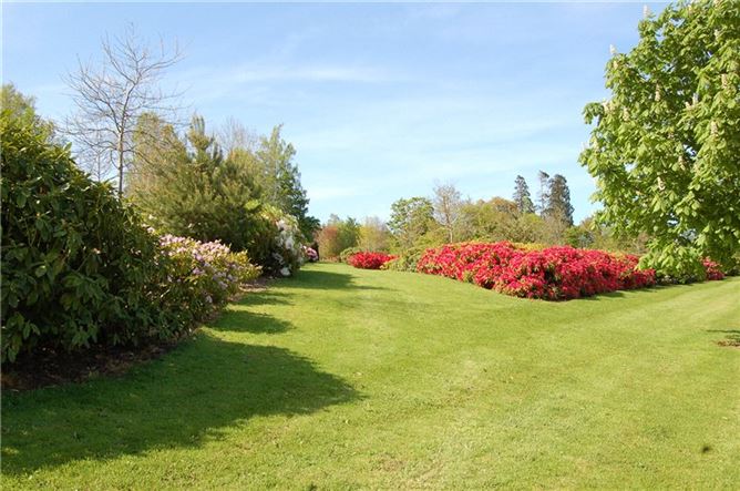 Capard House, Rosenallis, Co. Laois