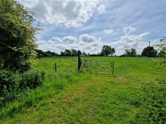 Castlegar, Claremorris, Co. Mayo Sherry FitzGerald Hanley 4710942