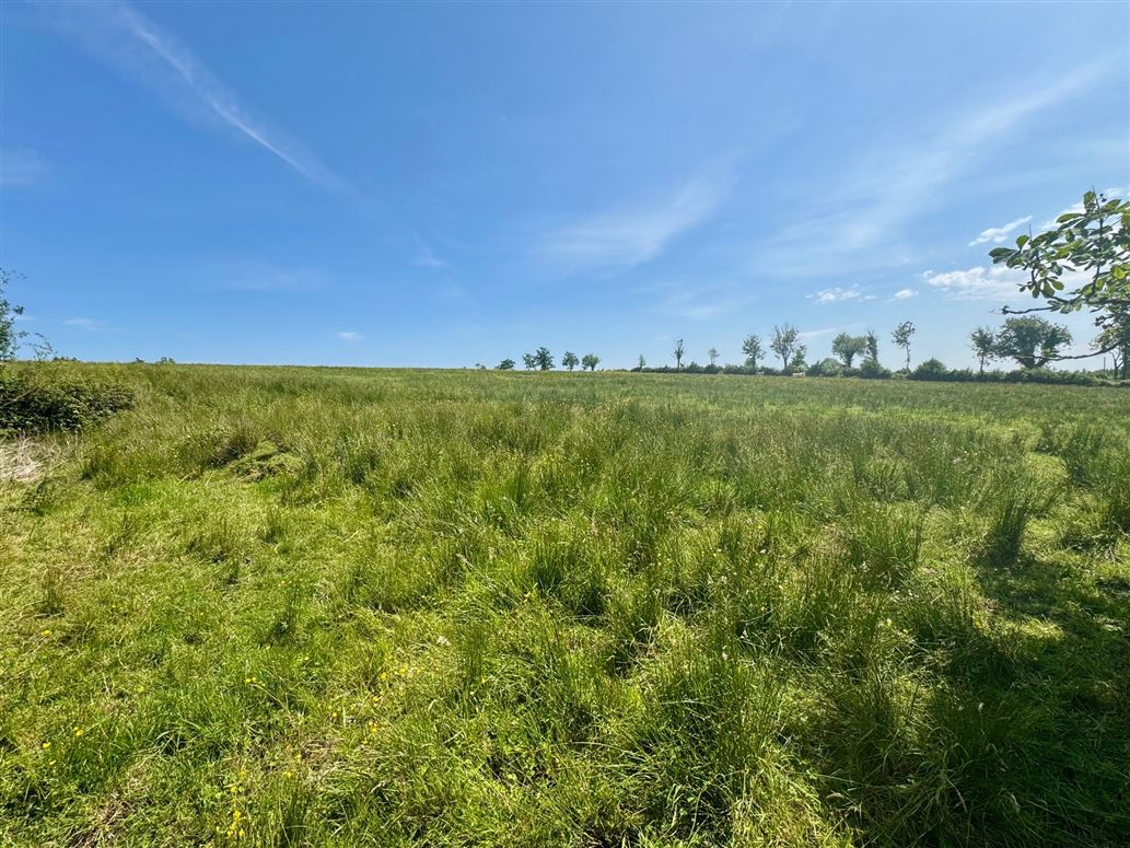 Drumharkan Glebe, Cloone, Co Leitrim, Cloone, Leitrim