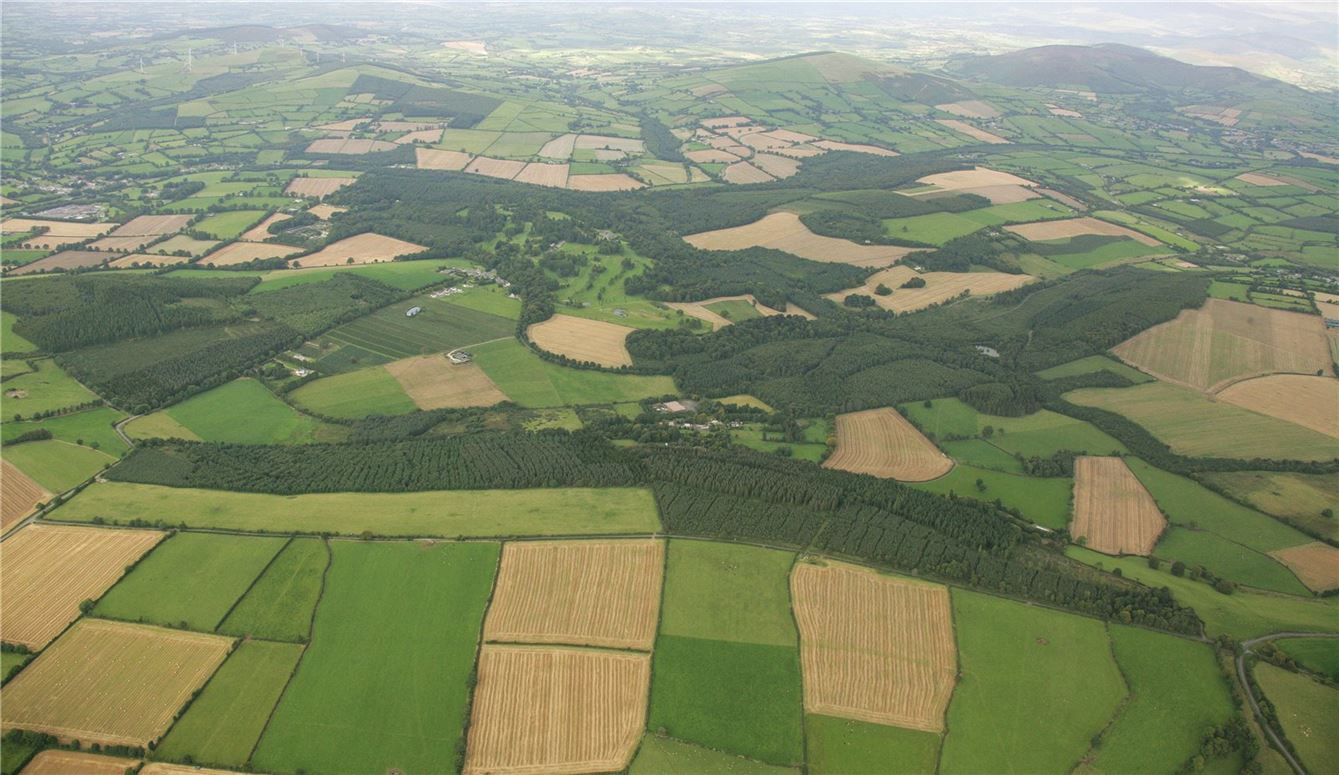Coollattin Estate and Forest, Shillelagh, Co. Wicklow
