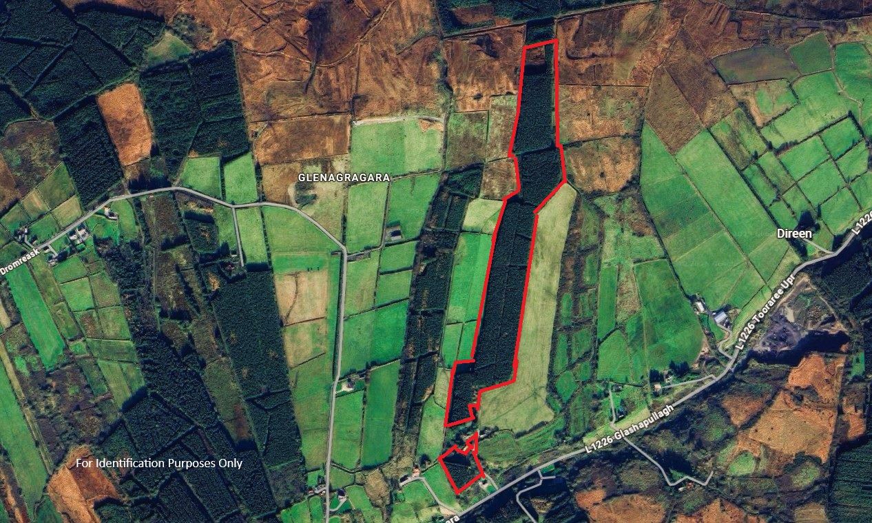 Forestry & Lands Glenagragara, Athea, Limerick