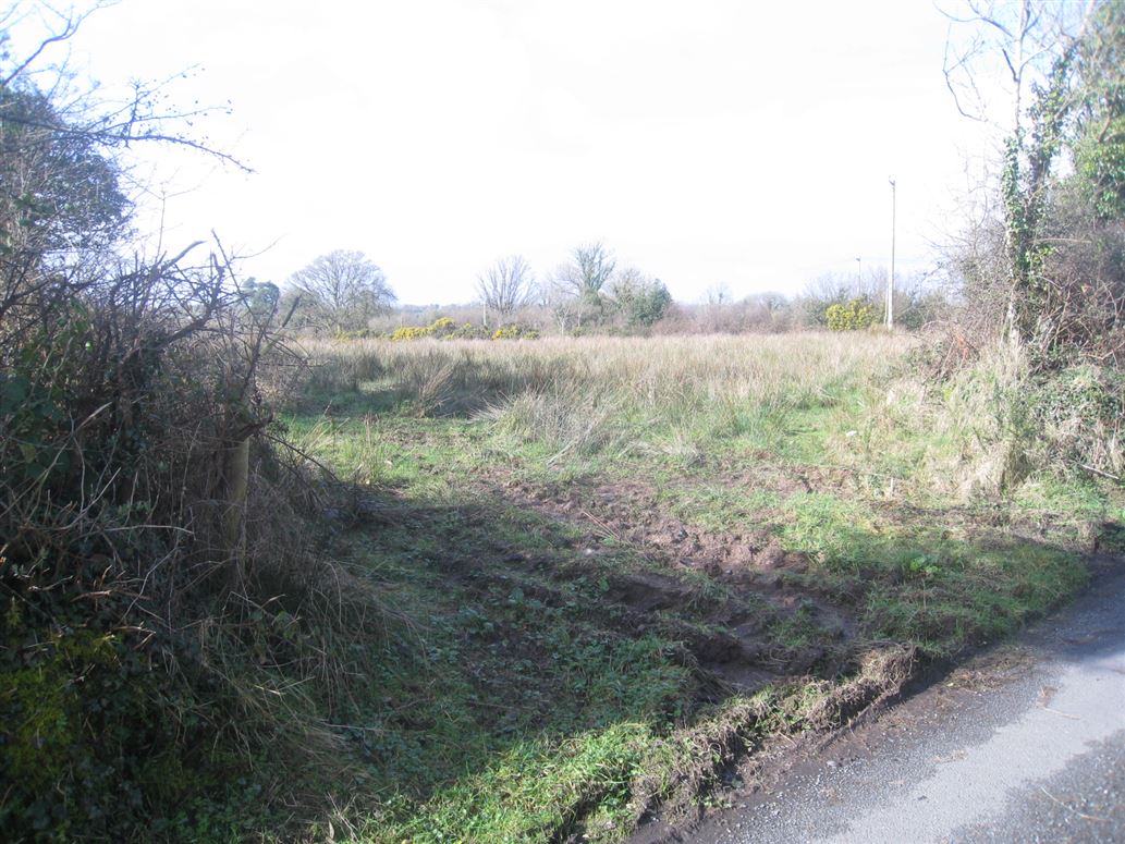 Barragh More, Drumlish, Longford