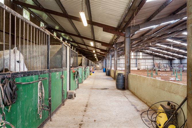 Horetown Stables, Horetown, Foulksmills, Wexford
