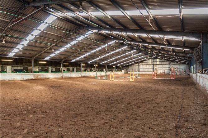 Horetown Stables, Horetown, Foulksmills, Wexford
