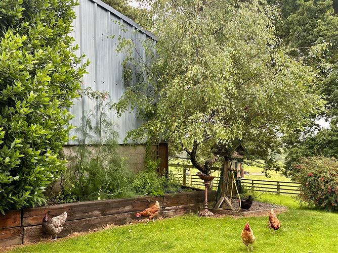 Horetown Stables, Horetown, Foulksmills, Wexford