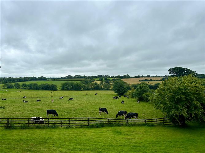Horetown Stables, Horetown, Foulksmills, Wexford