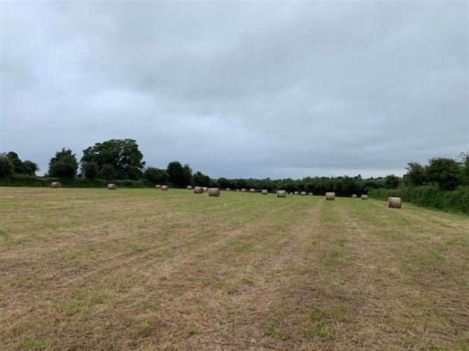 28 Round Bales Of Hay, Nenagh, Tipperary