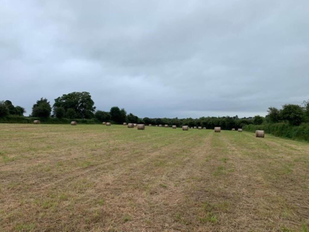 28 Round Bales Of Hay, Nenagh, Tipperary