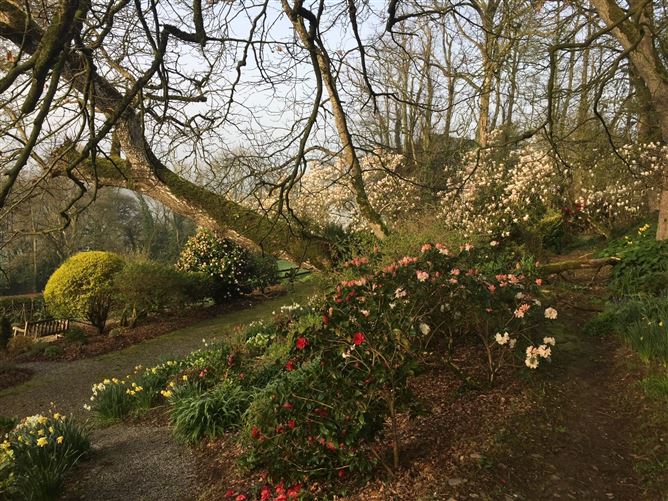 Flowerhill House, Ballyduff, Lismore, Co. Waterford
