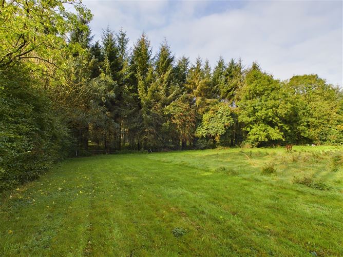 Doonane, Crettyard, Laois