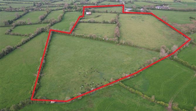 Chantersland, Emly, County Tipperary