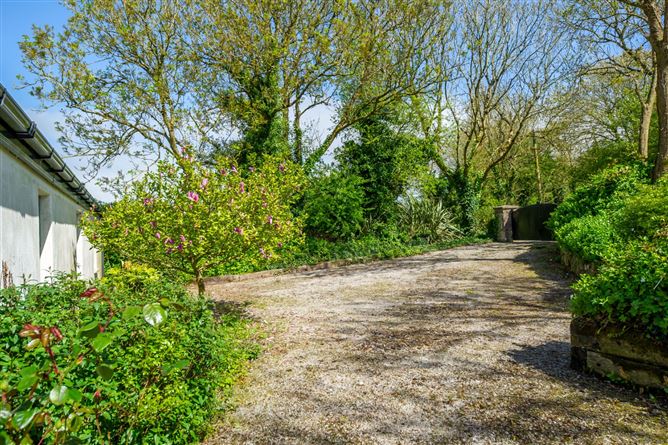 Lisanley Farm, Cloyne, Cork