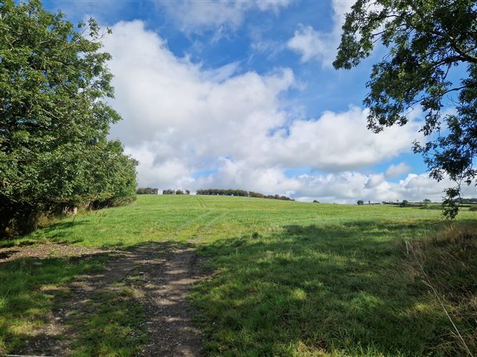 Ummerafree Corduff, Carrickmacross, Monaghan