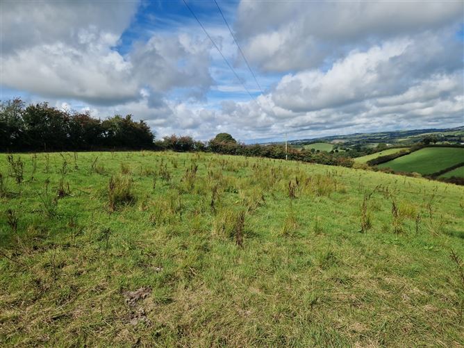 Ummerafree Corduff, Carrickmacross, Monaghan