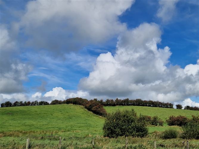 Ummerafree Corduff, Carrickmacross, Monaghan