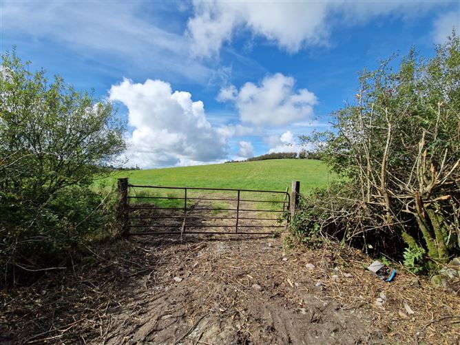Ummerafree Corduff, Carrickmacross, Monaghan