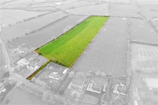 10 Acres Of Land At Cloongownagh, Kildimo, Co. Limerick