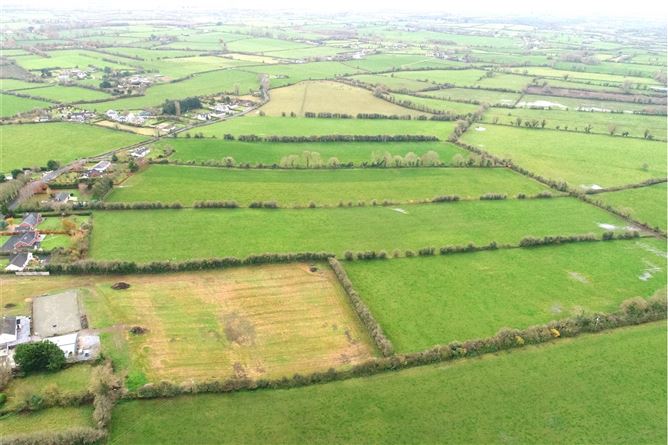 10 Acres Of Land At Cloongownagh, Kildimo, Co. Limerick