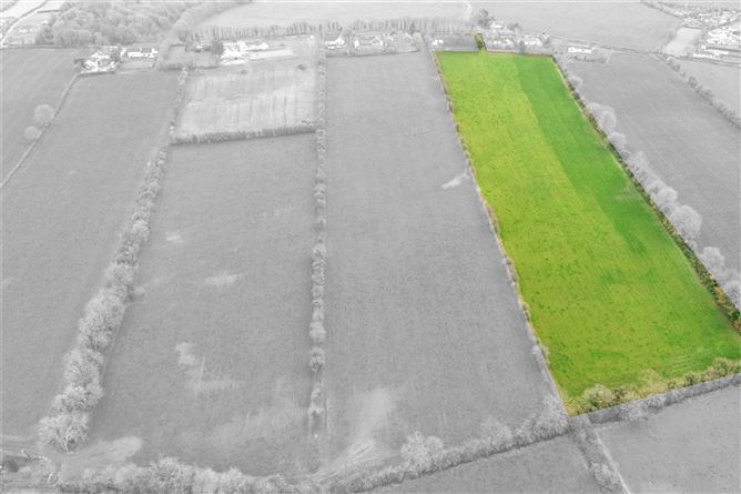 10 Acres Of Land At Cloongownagh, Kildimo, Co. Limerick