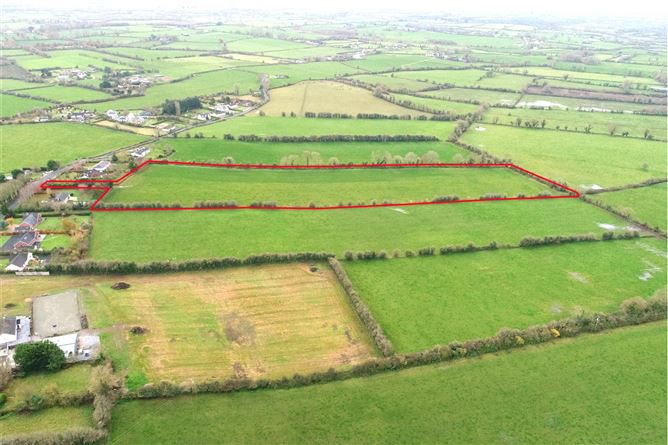 10 Acres Of Land At Cloongownagh, Kildimo, Co. Limerick