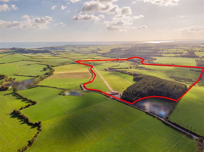 Circa 117 Acres Kill, Bunmahon, Waterford Brian Gleeson Property