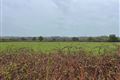 Residential Land Holding at Carnmore , Oranmore