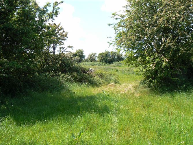 Residential Land Holding at Carnmore , Oranmore , Co. Galway