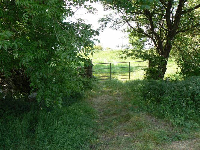 Residential Land Holding at Carnmore , Oranmore , Co. Galway