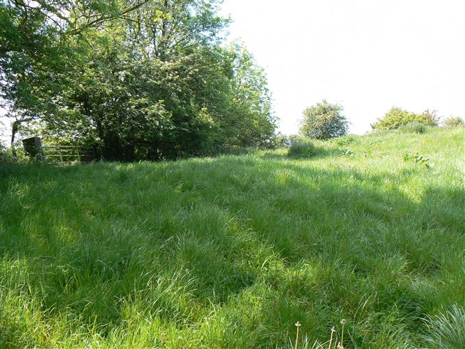 Residential Land Holding at Carnmore , Oranmore , Co. Galway