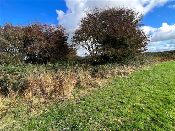 Residential Land Holding at Carnmore , Oranmore , Co. Galway