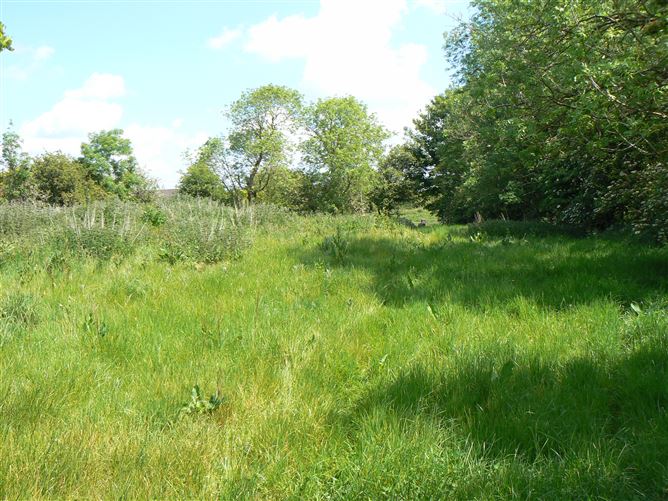 Residential Land Holding at Carnmore , Oranmore , Co. Galway