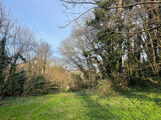 Bridesfield, Bridesglen Road, Rathmichael, Dublin 18