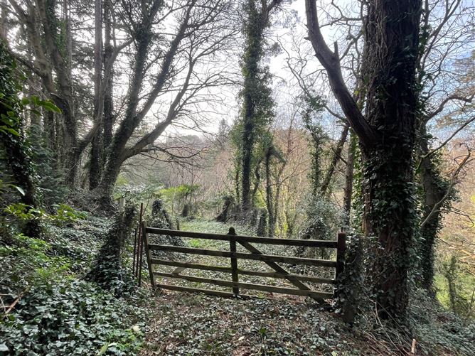 Bridesfield, Bridesglen Road, Rathmichael, Dublin 18