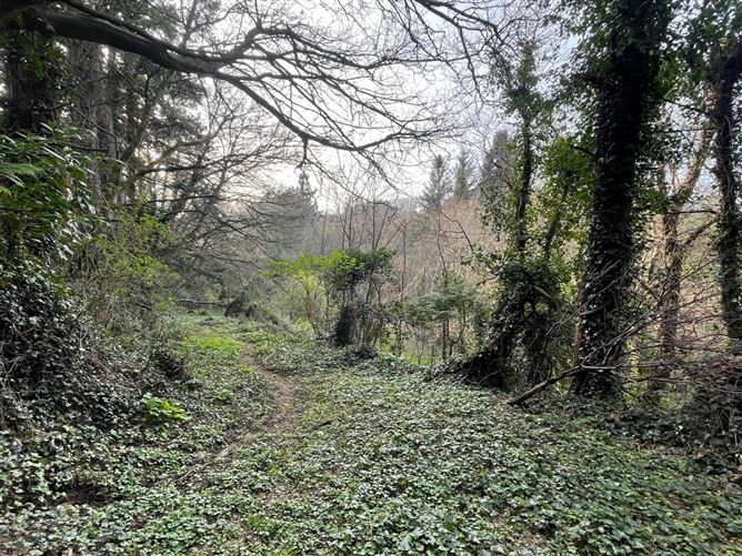 Bridesfield, Bridesglen Road, Rathmichael, Dublin 18