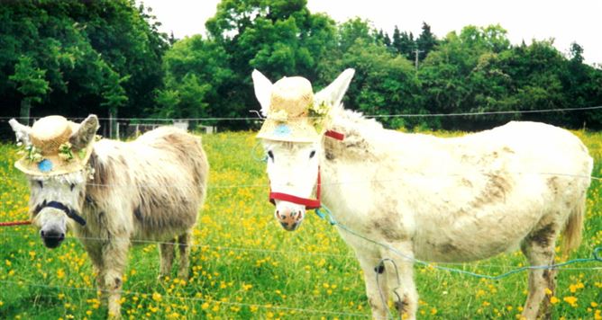 Bridesfield, Bridesglen Road, Rathmichael, Dublin 18