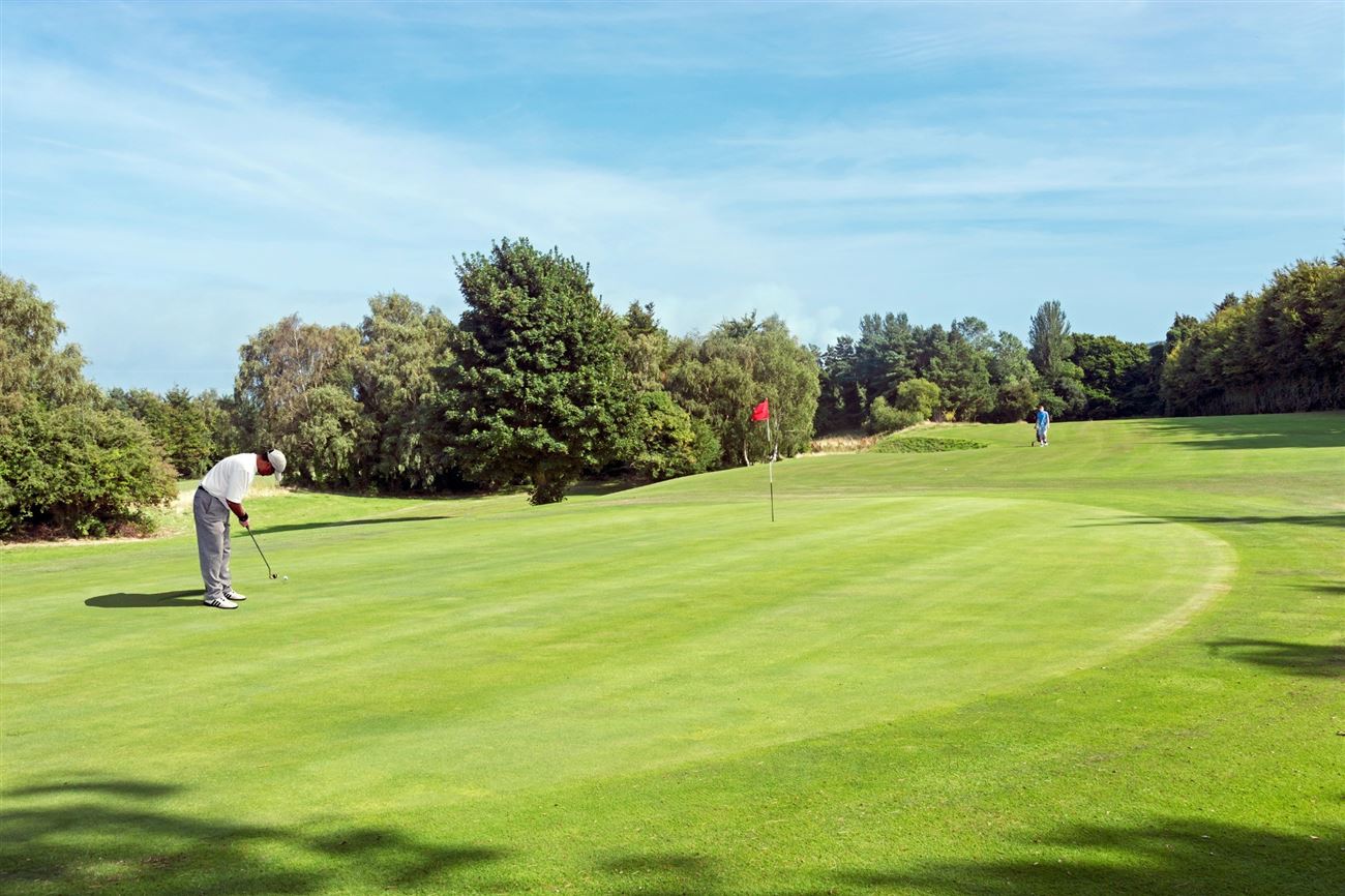 Photo 8 of 13 — Berwick Pines, Foxrock, Dublin 18