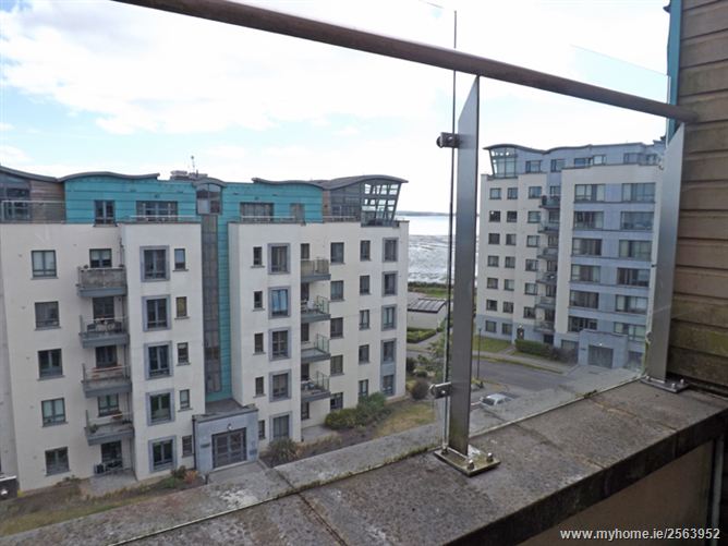 The Falcon, Jacobs Island, Cork