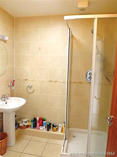 The Falcon, Jacobs Island, Cork